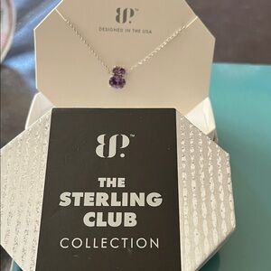 The Sterling Club Silver Necklace with Purple Gemstones